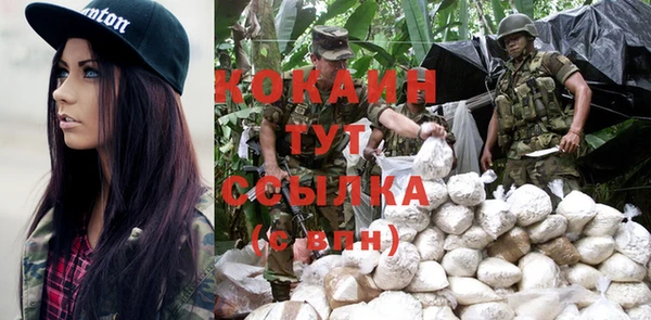 ГАЛЛЮЦИНОГЕННЫЕ ГРИБЫ Грязи