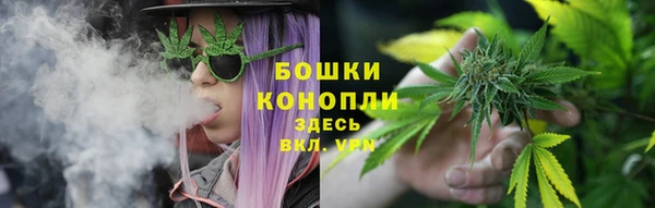 ГАЛЛЮЦИНОГЕННЫЕ ГРИБЫ Грязи