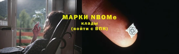 ГАЛЛЮЦИНОГЕННЫЕ ГРИБЫ Грязи