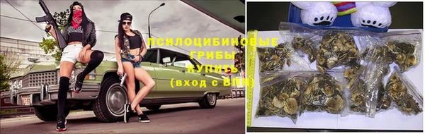ГАЛЛЮЦИНОГЕННЫЕ ГРИБЫ Грязи