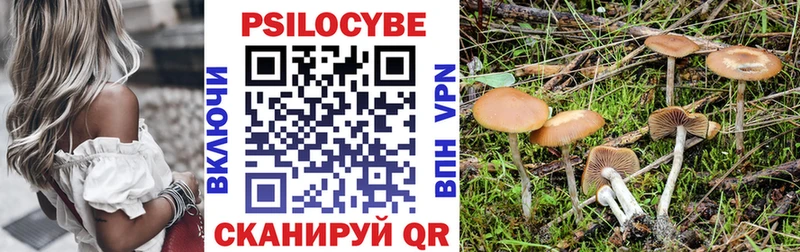 MEGA маркетплейс  Карабаш  Псилоцибиновые грибы ЛСД 